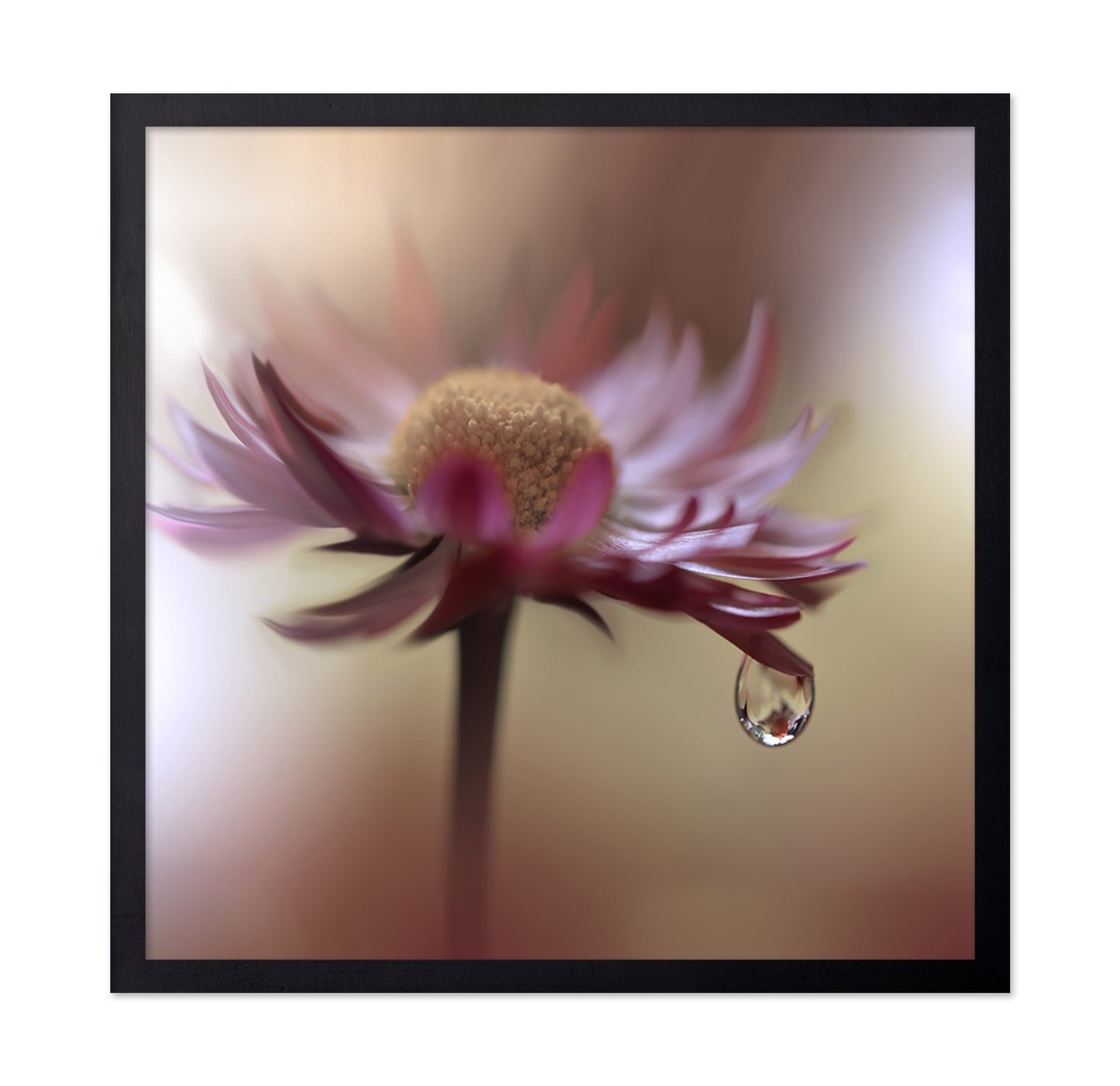 Tears Of Time