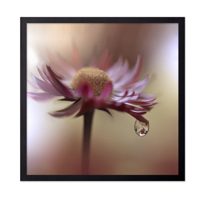 Tears Of Time