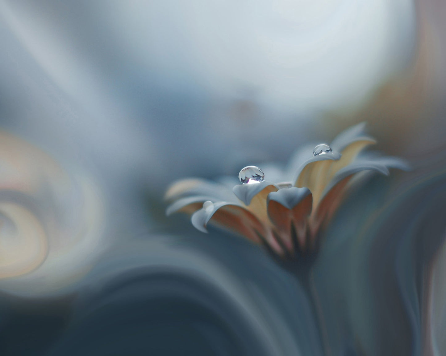 Infinite Longing
