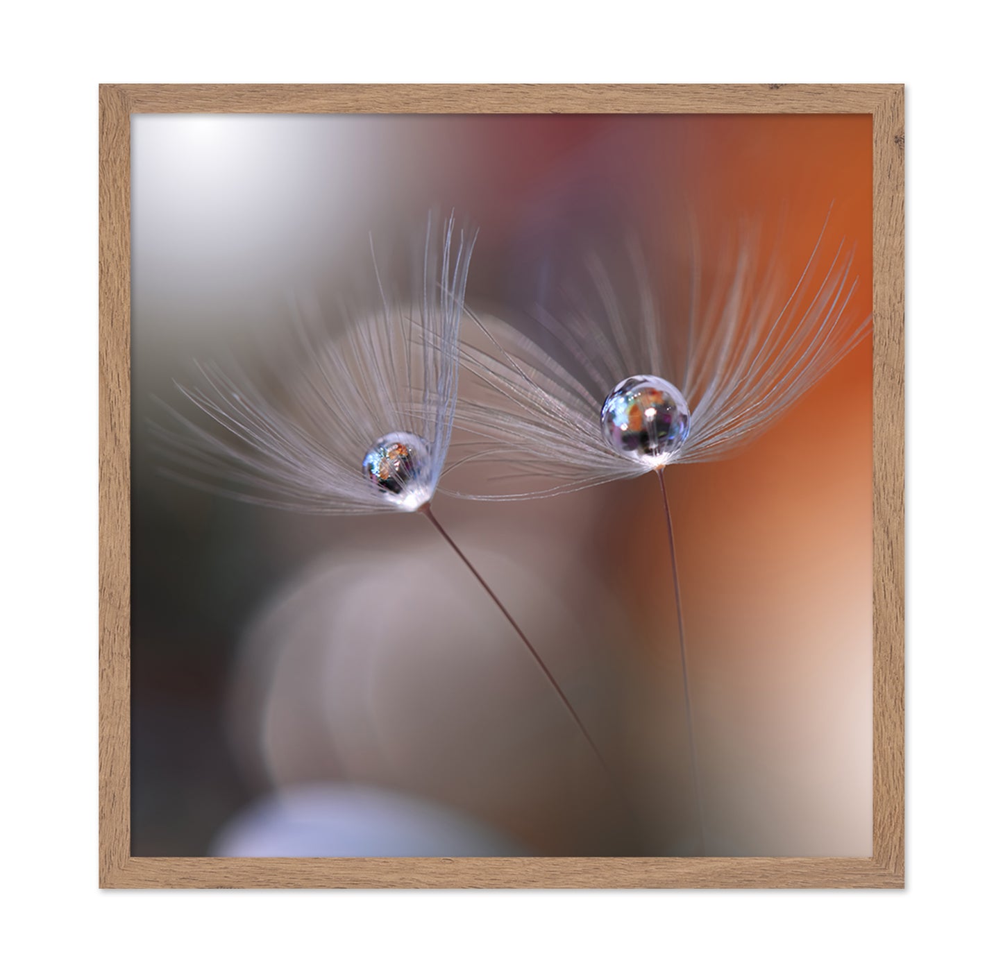 Immortal Love