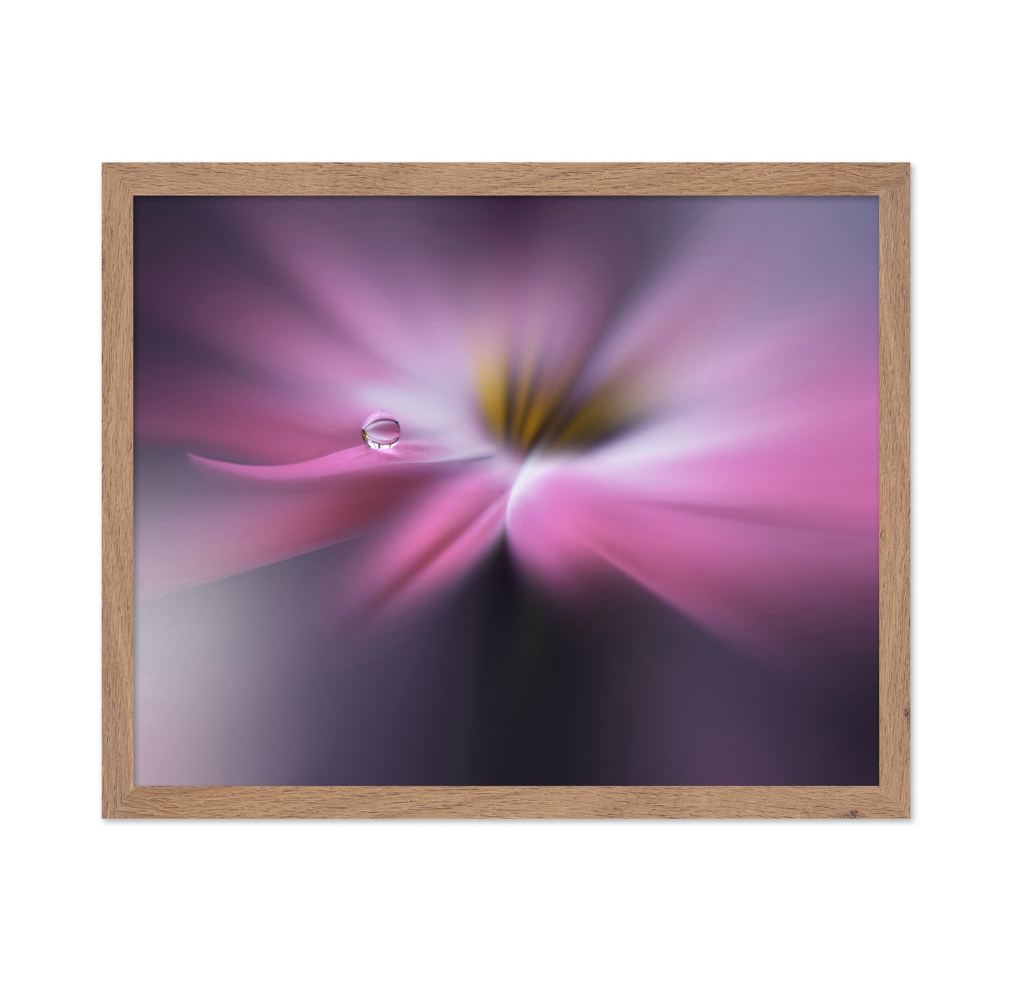 Orchid Echo
