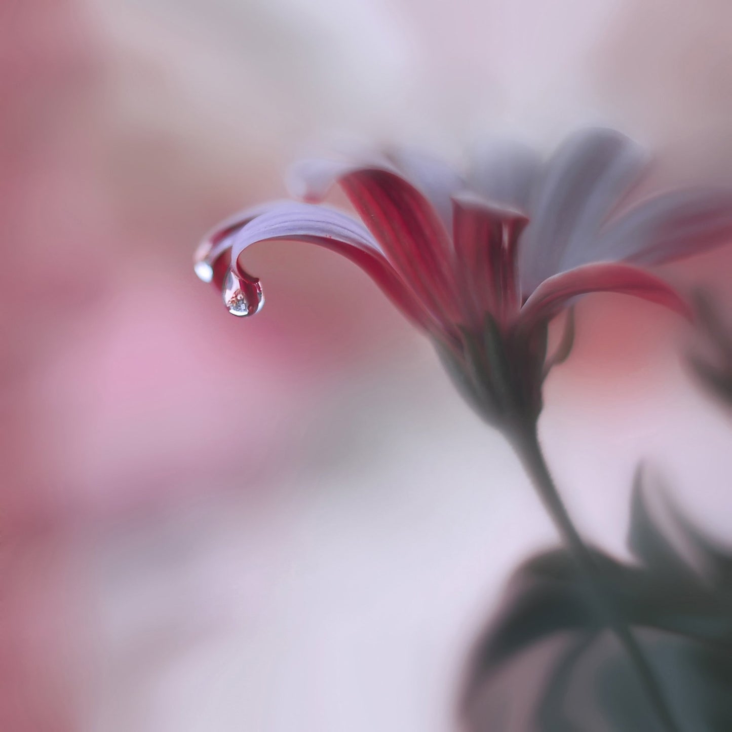 Invisible Touch