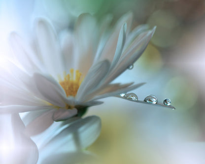 Light Touch No 1
