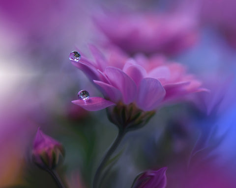 All of Me