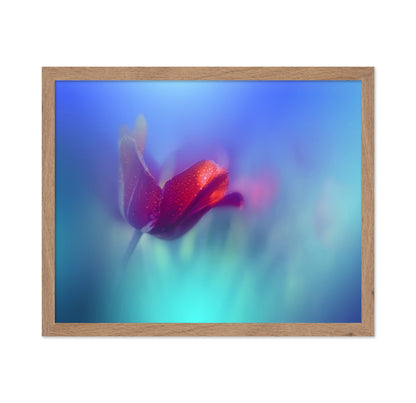 Red Tulip