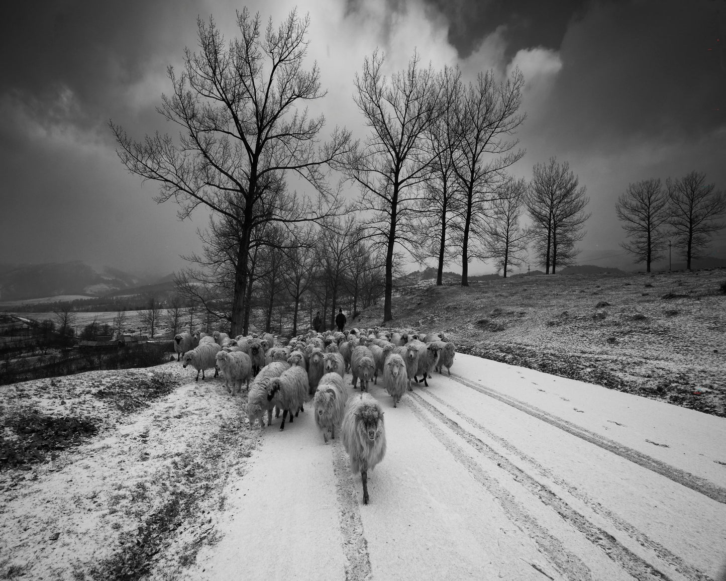 Pastoral