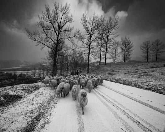 Pastoral