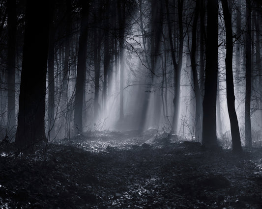 Capela Forest