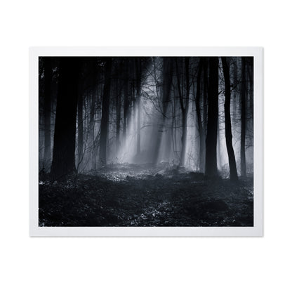 Capela Forest