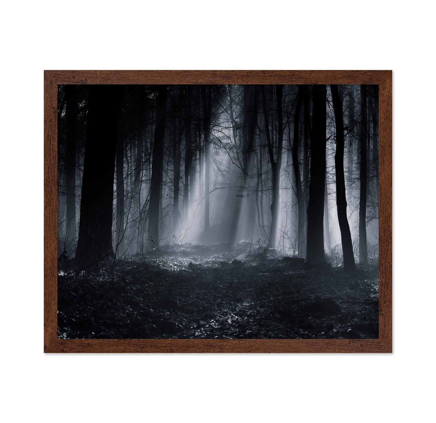 Capela Forest