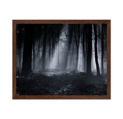 Capela Forest