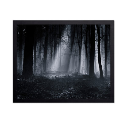 Capela Forest