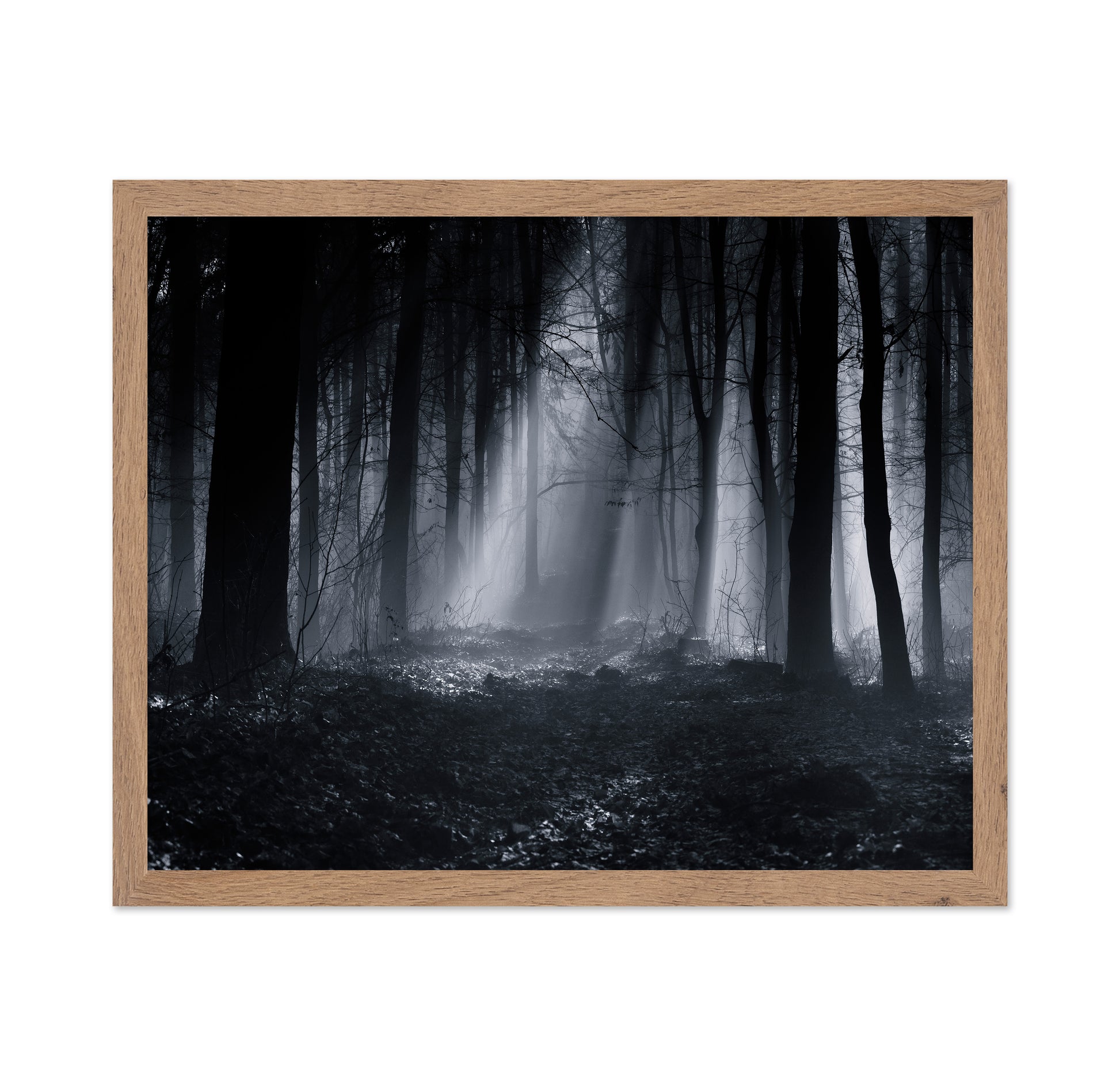 Capela Forest