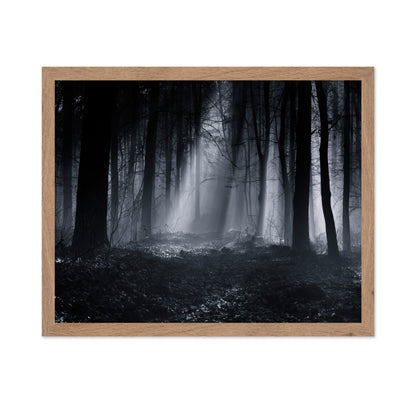 Capela Forest