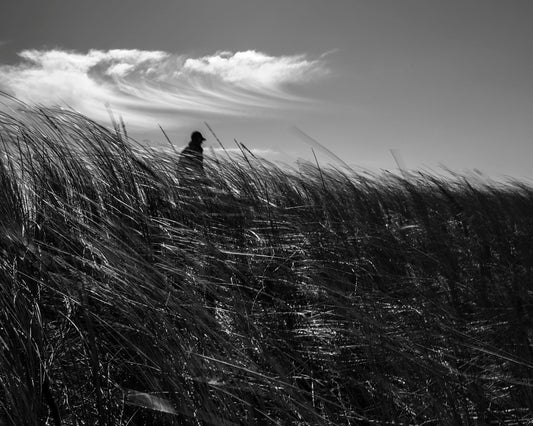Walking