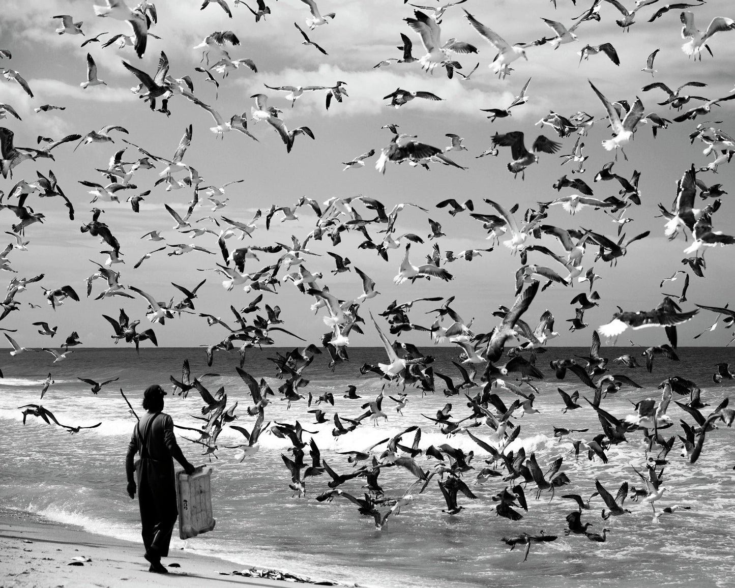 Wings of Chaos