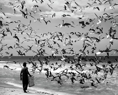 Wings of Chaos