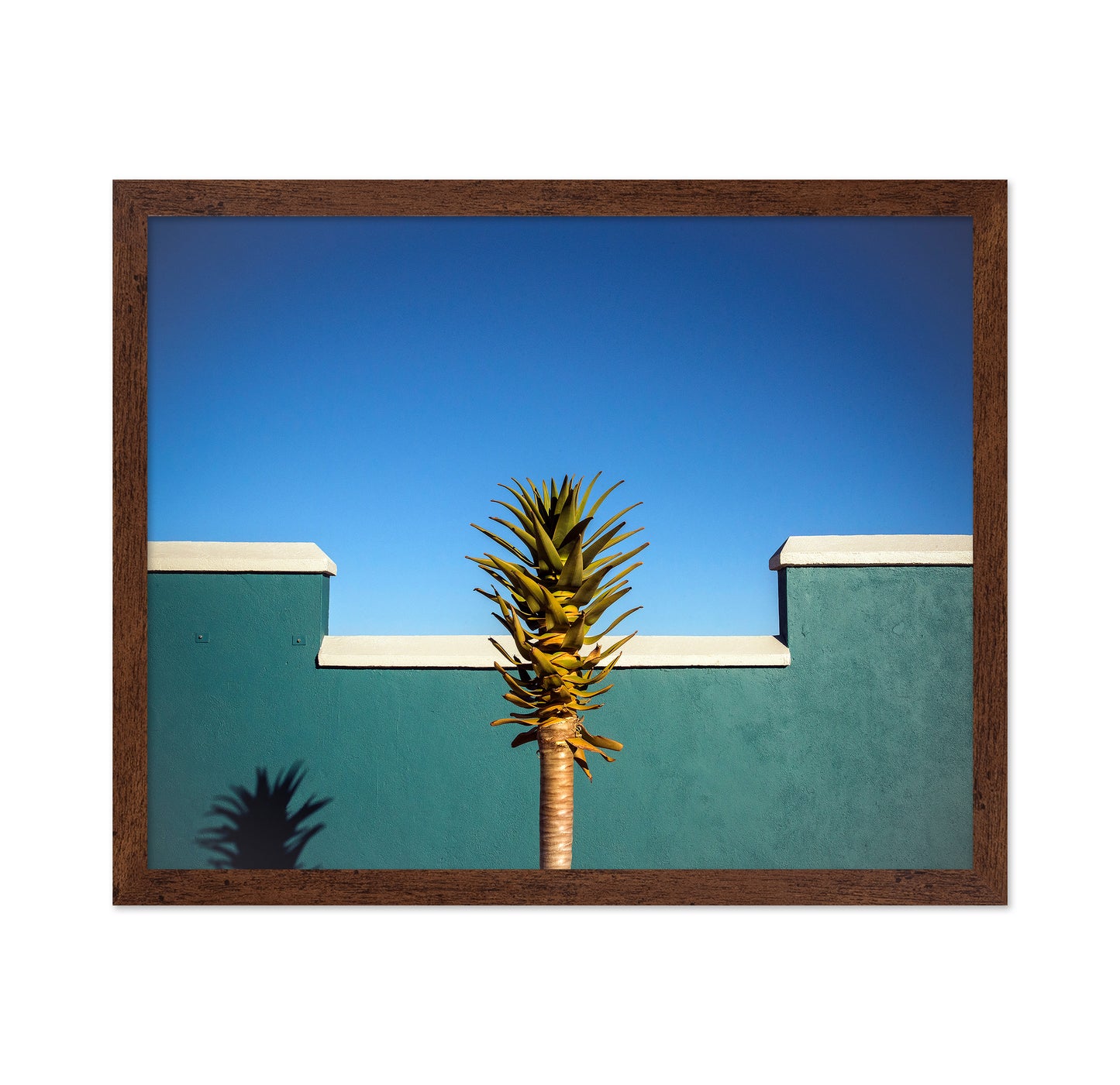 Tropical Palm Wall