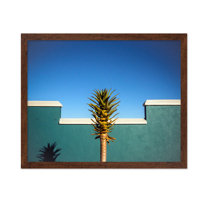 Tropical Palm Wall
