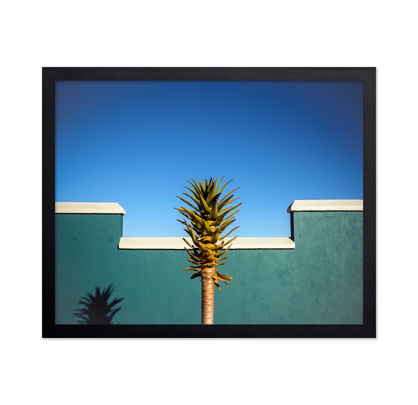 Tropical Palm Wall