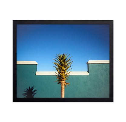 Tropical Palm Wall