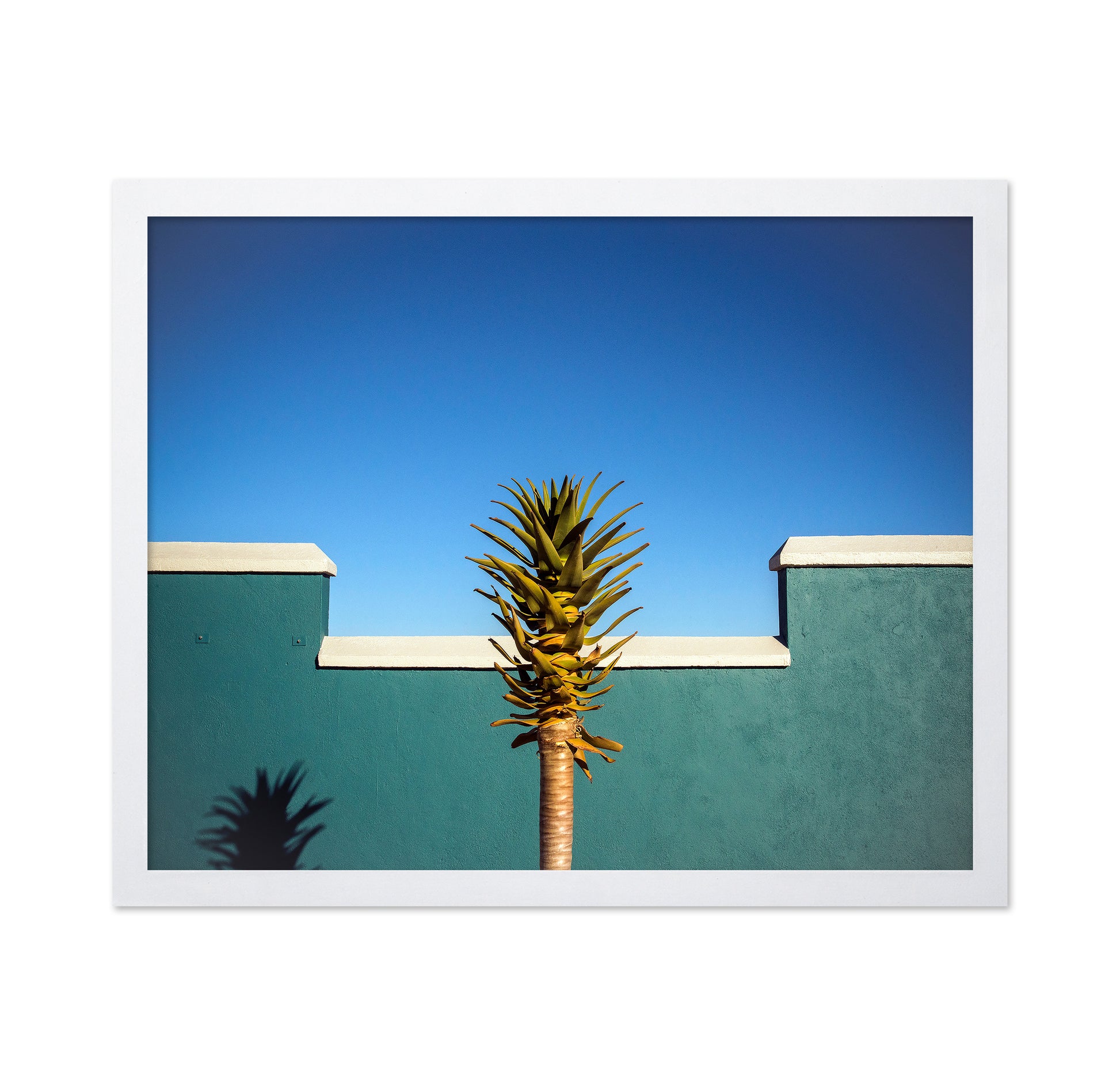 Tropical Palm Wall