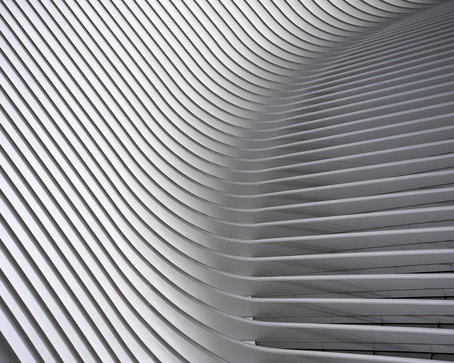White Curved Ceiling