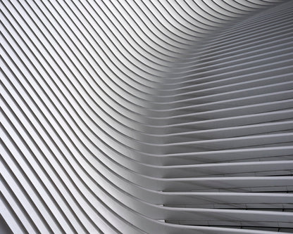 White Curved Ceiling