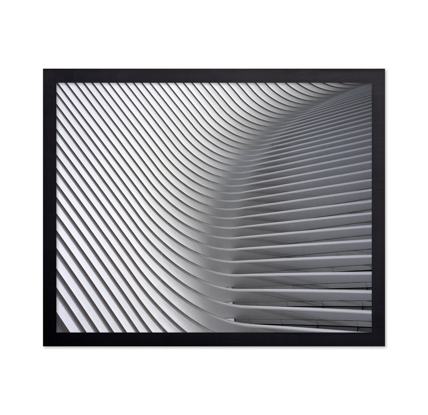 White Curved Ceiling