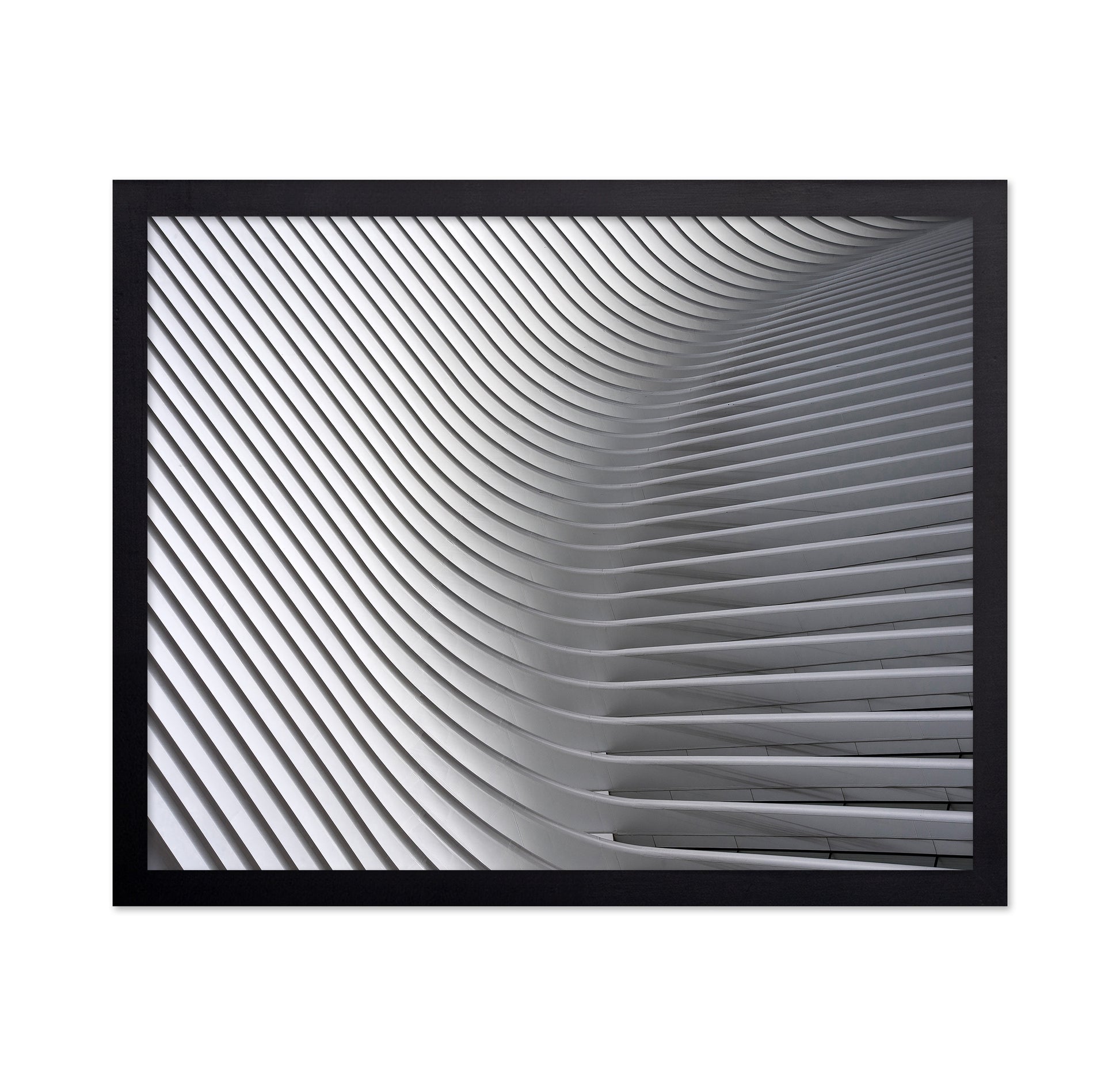 White Curved Ceiling