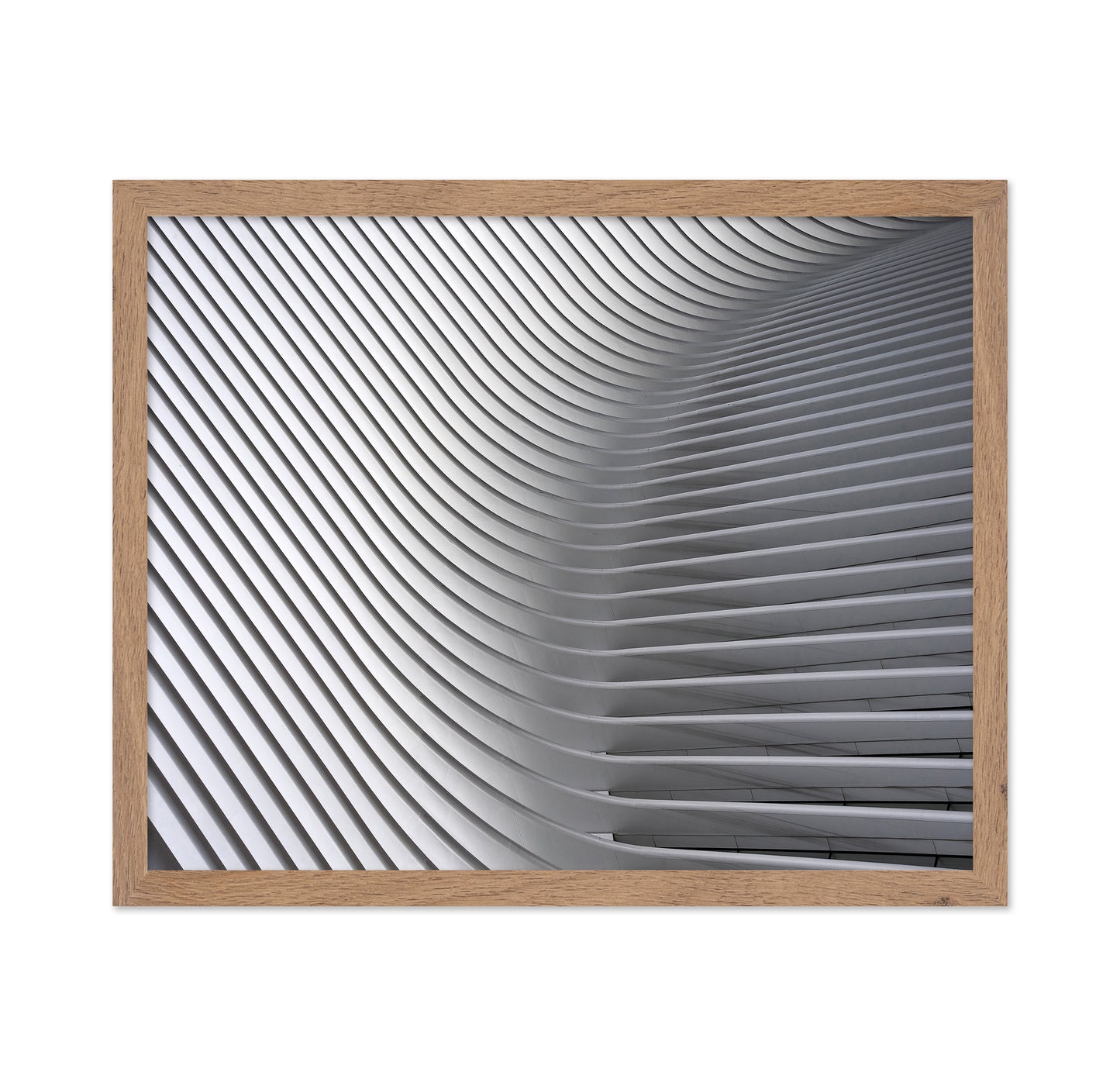 White Curved Ceiling