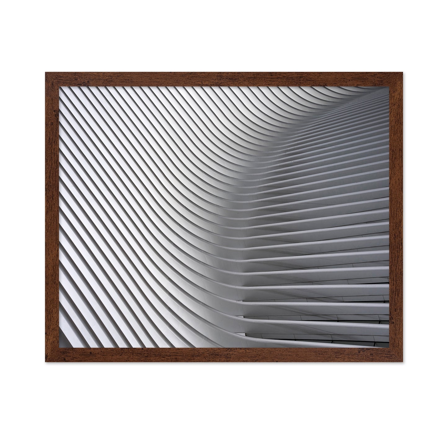 White Curved Ceiling
