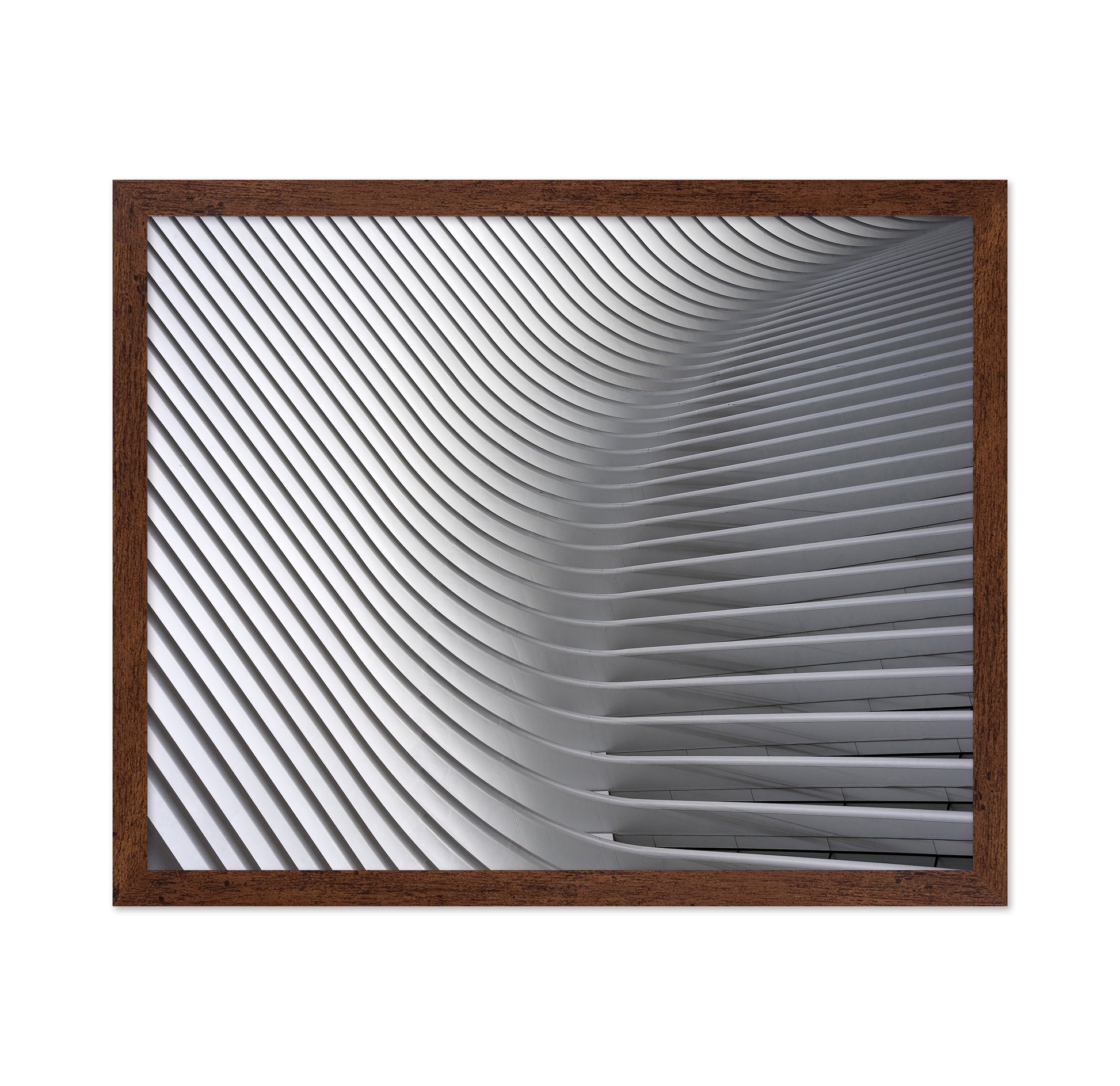 White Curved Ceiling