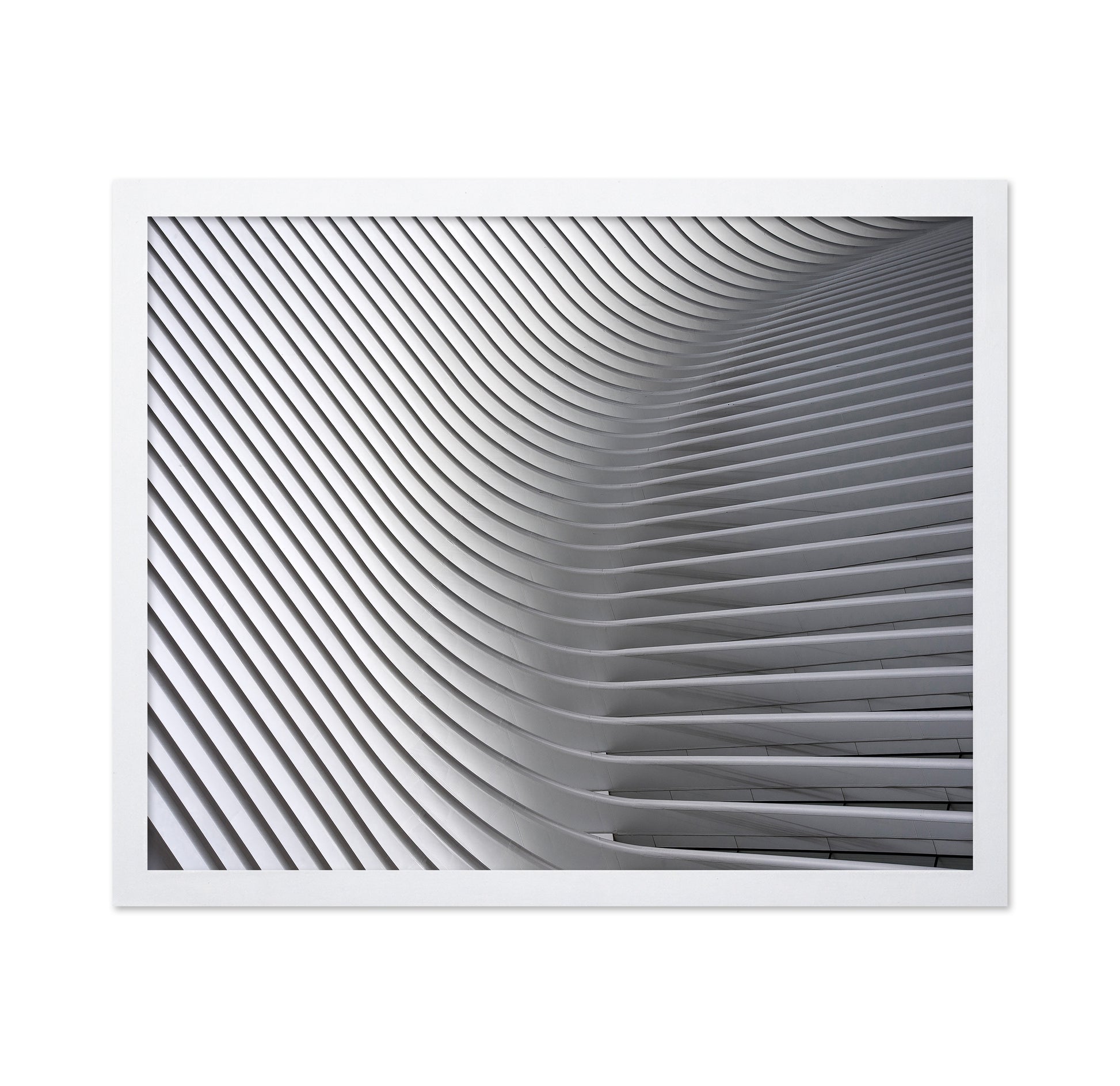 White Curved Ceiling