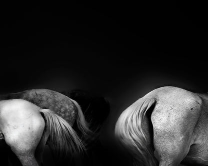 Tail Ends