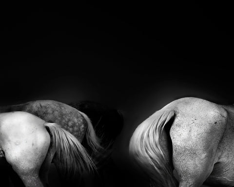 Tail Ends
