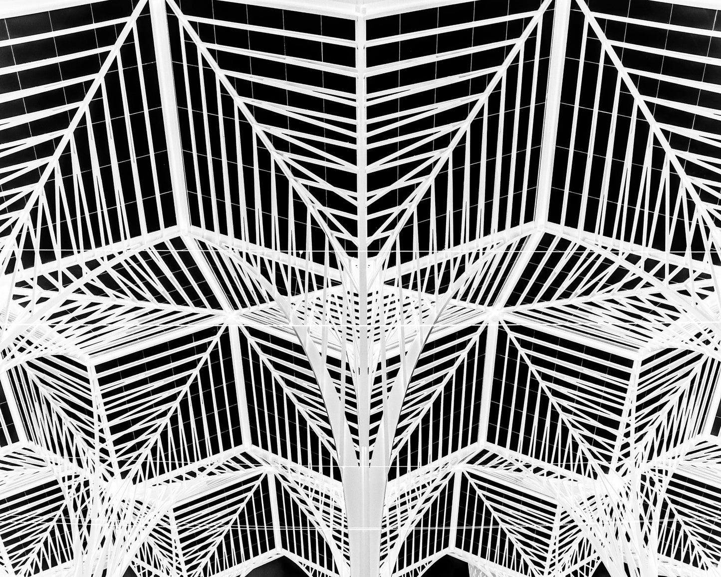 Enter The Web