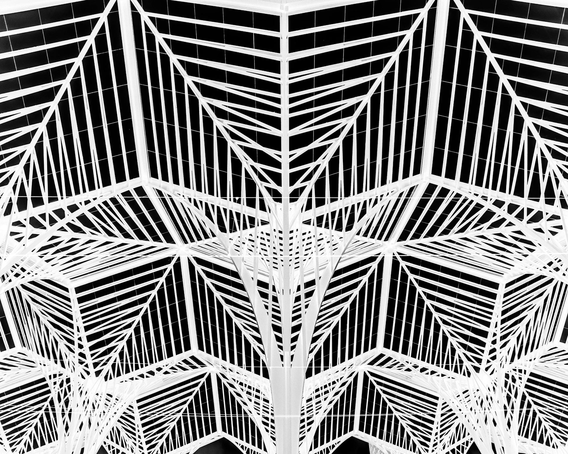 Enter The Web