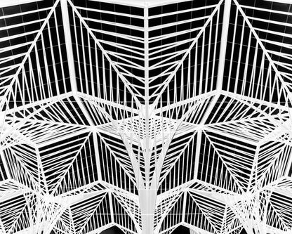 Enter The Web