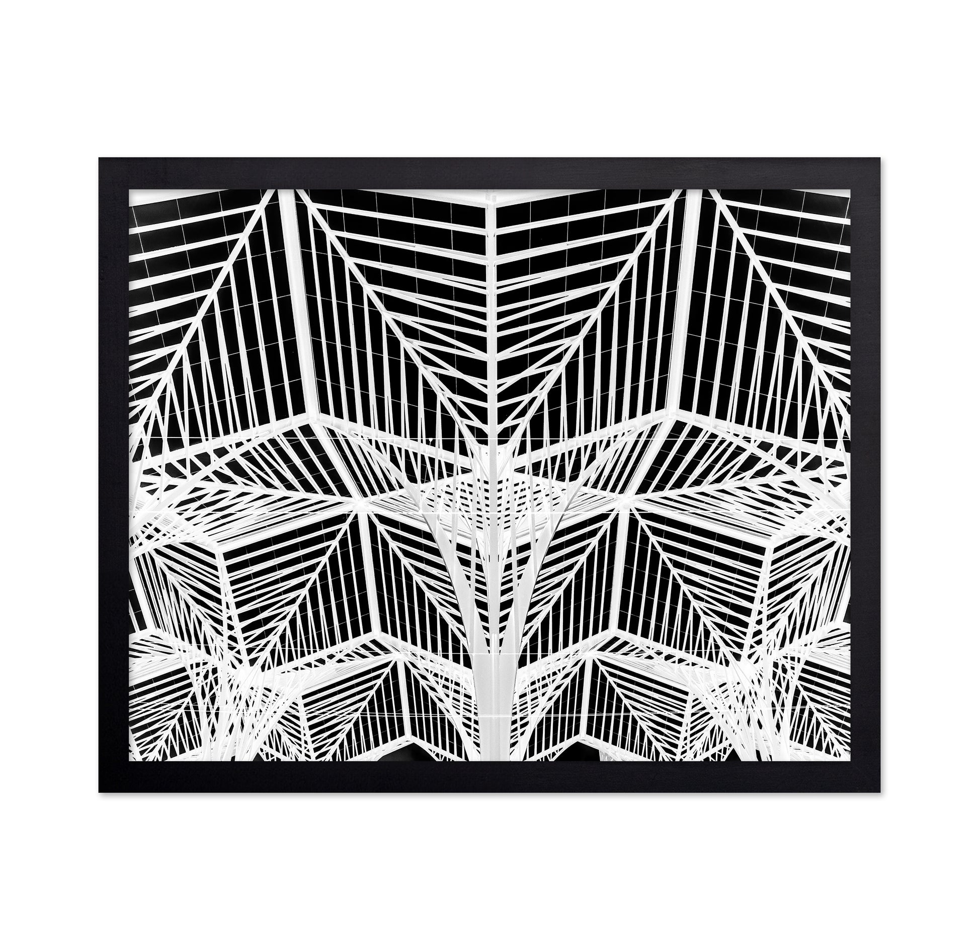 Enter The Web
