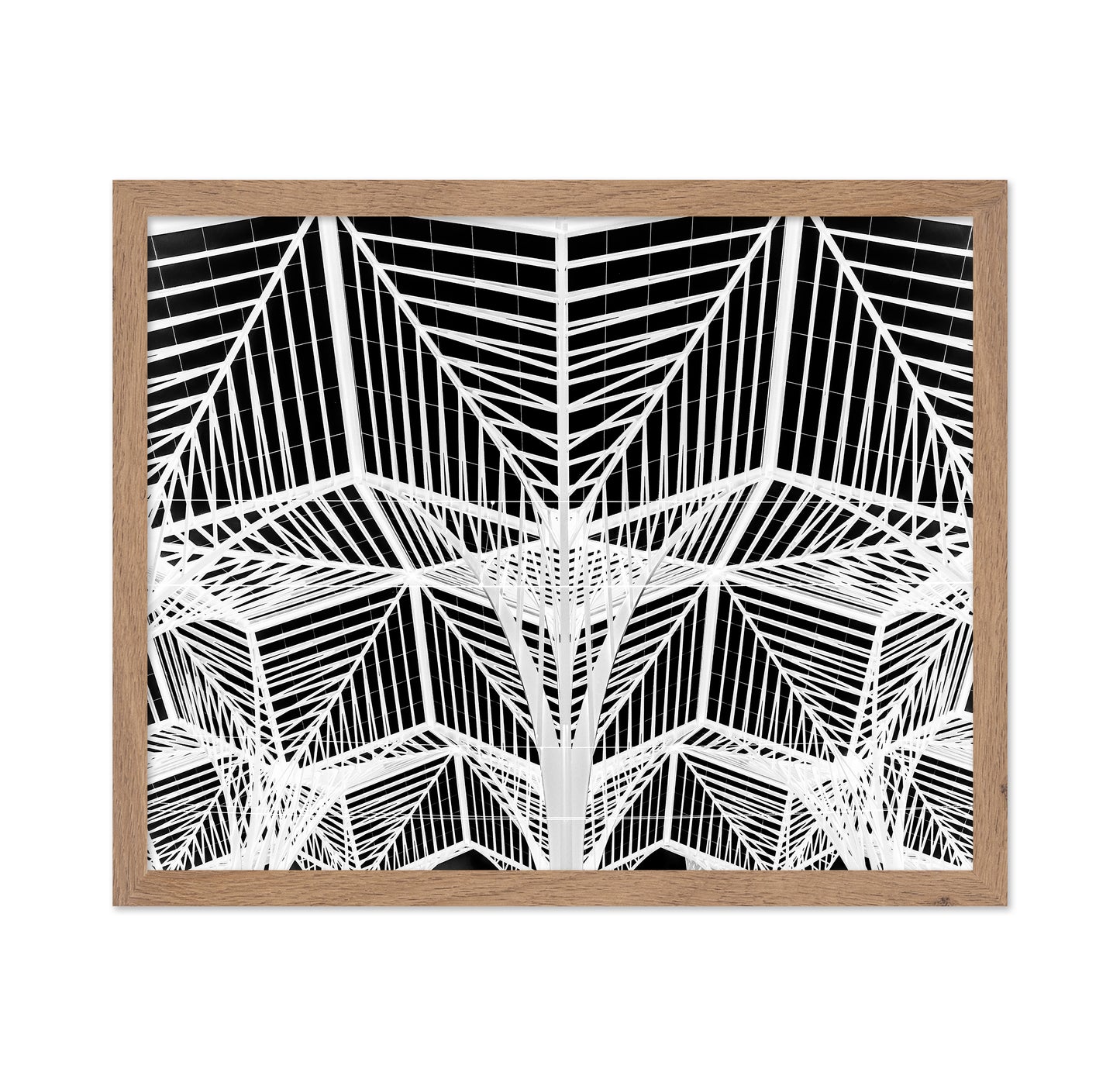 Enter The Web