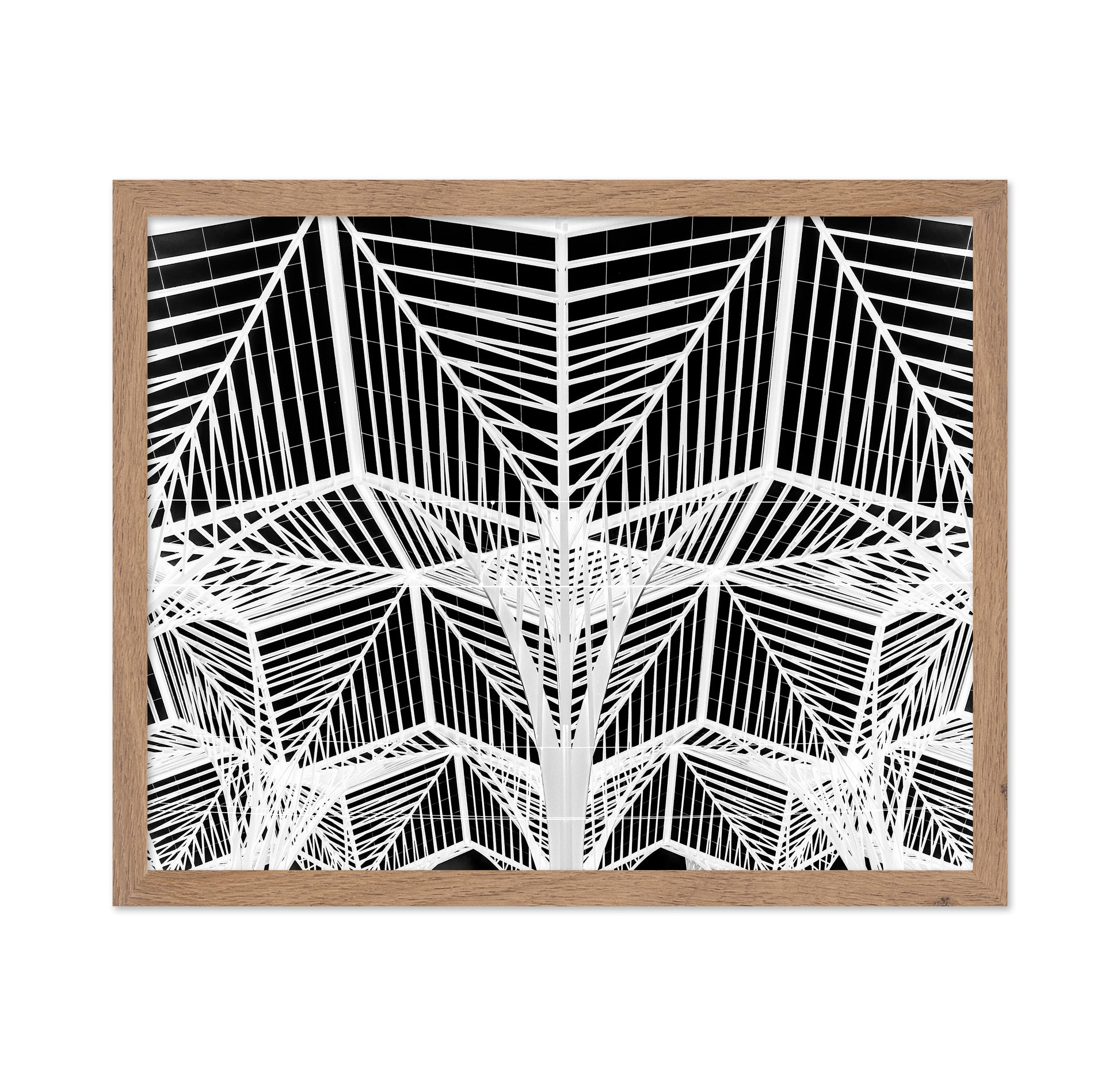 Enter The Web