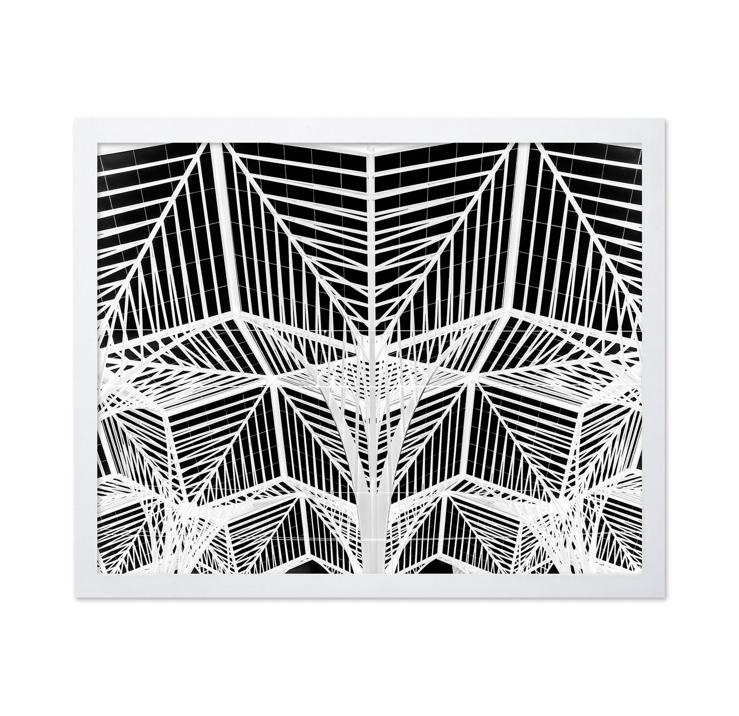 Enter The Web