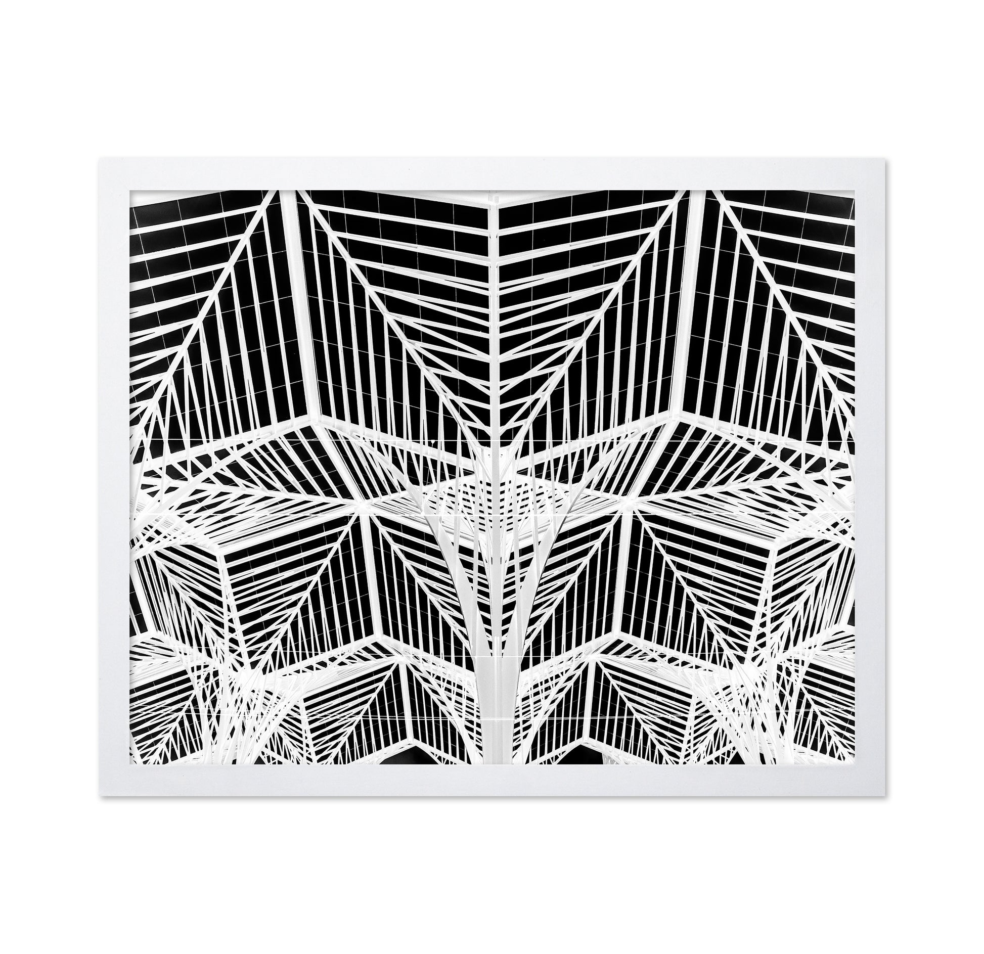 Enter The Web