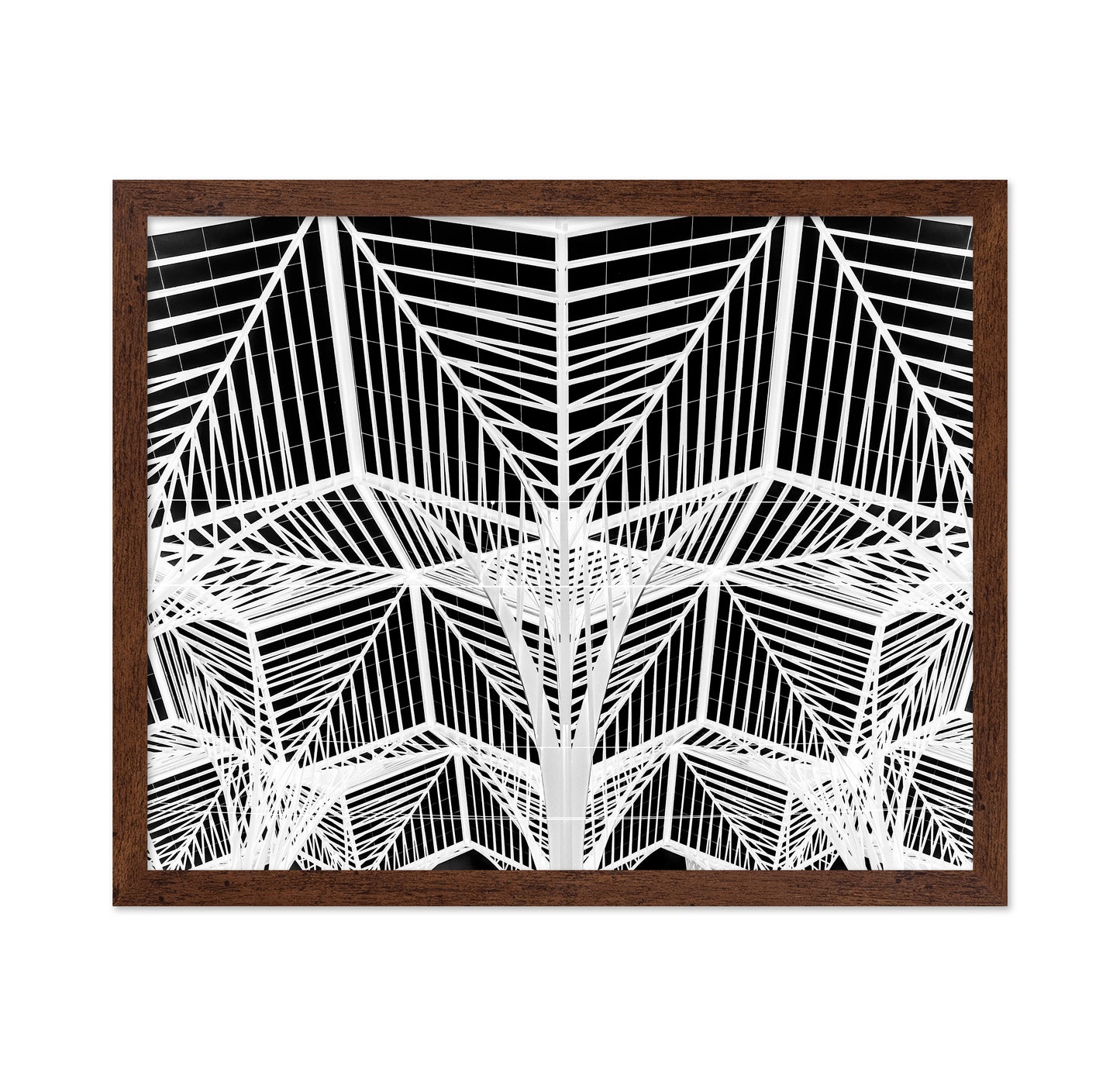 Enter The Web