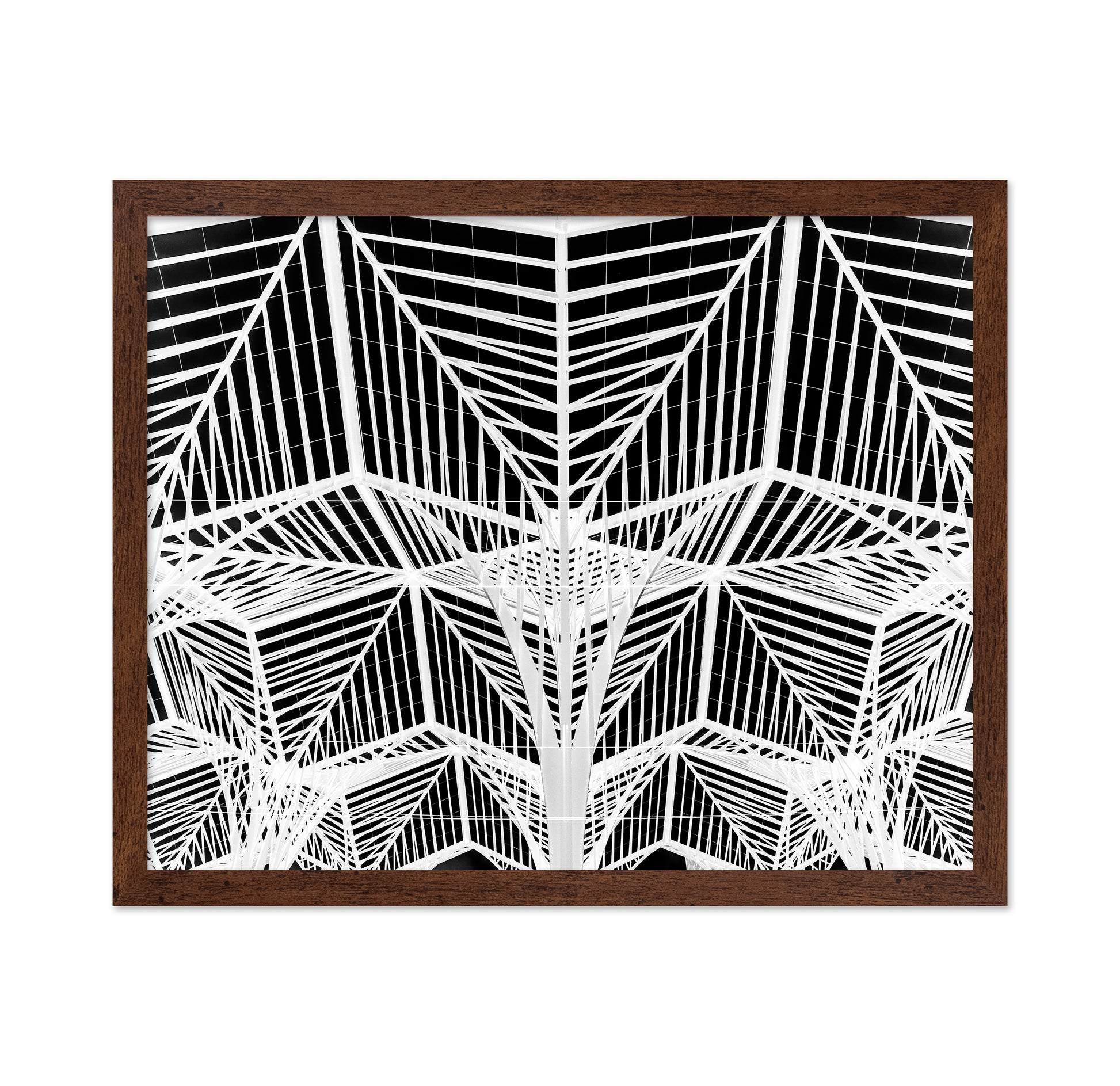 Enter The Web