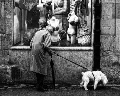 In Search of a Gift