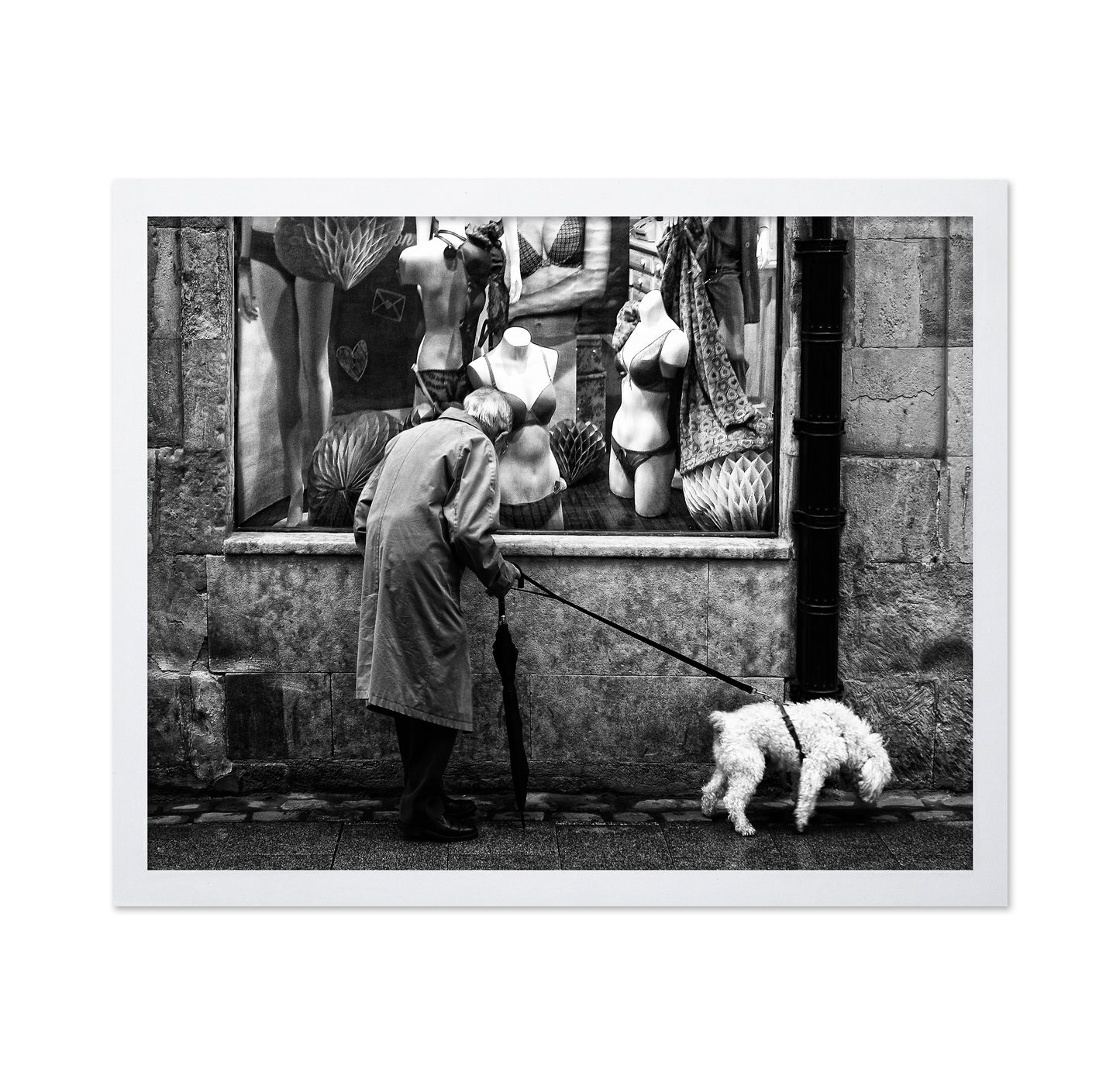 In Search of a Gift