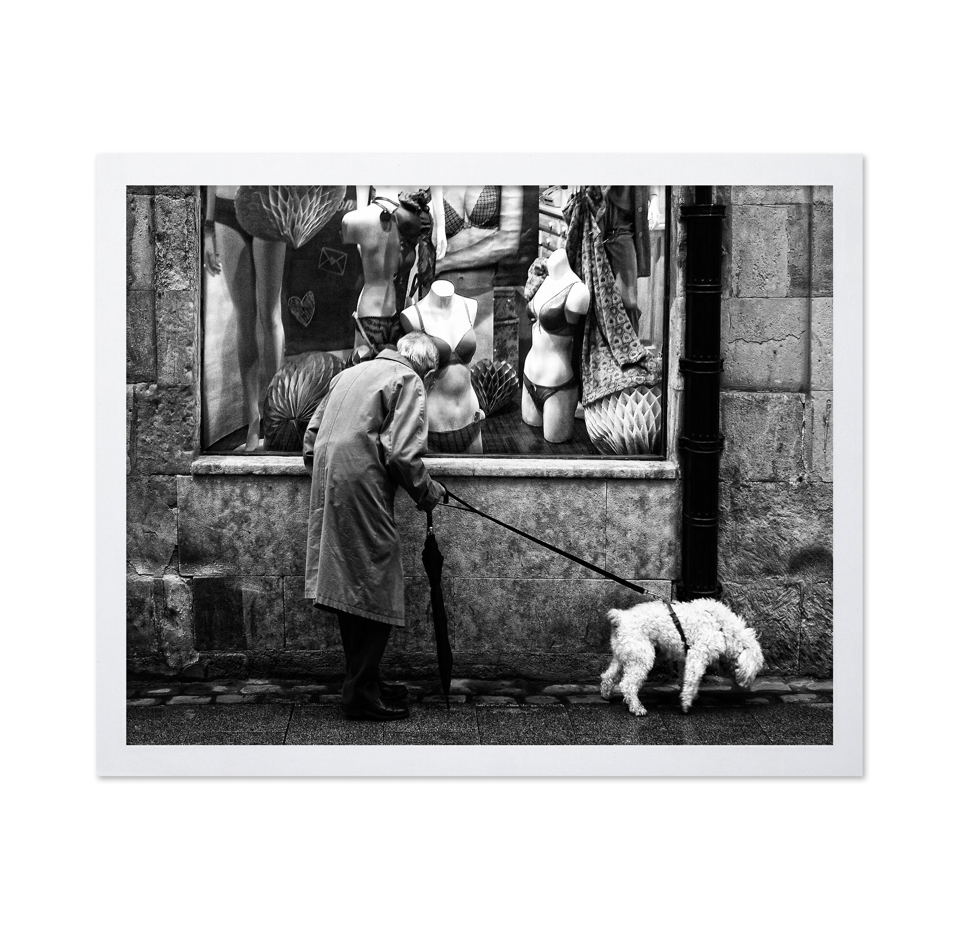 In Search of a Gift