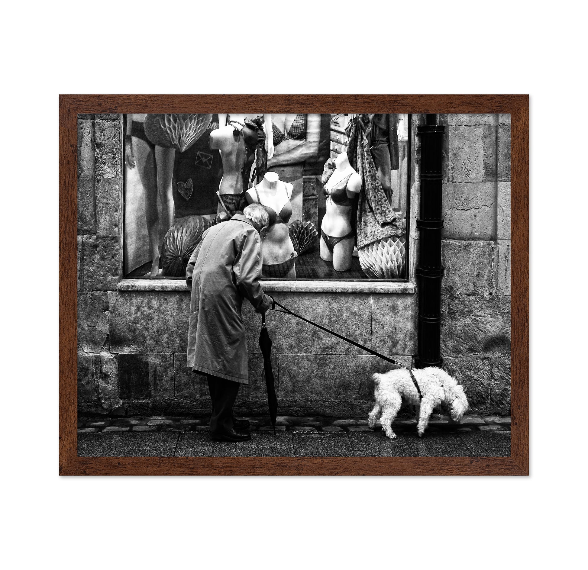In Search of a Gift